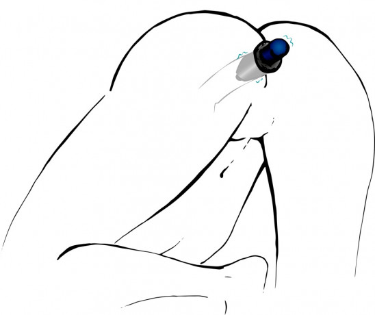 Анальная пробка полая