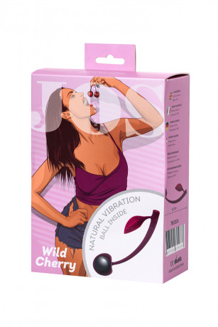 Вагинальный шарик в форме вишенки с листиком JOS WILD CHERRY