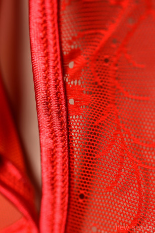 Боди из эластичной сетки и кружева красного цвета с открытой попкой Candy Girl