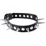 Набор для бондажа FF Rock Hard Bondage Kit Black