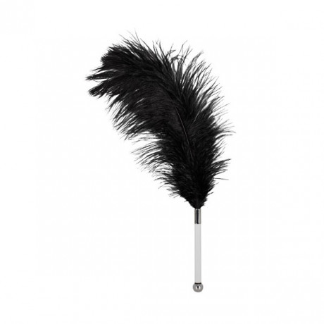 Перо для интимных игр Federstab