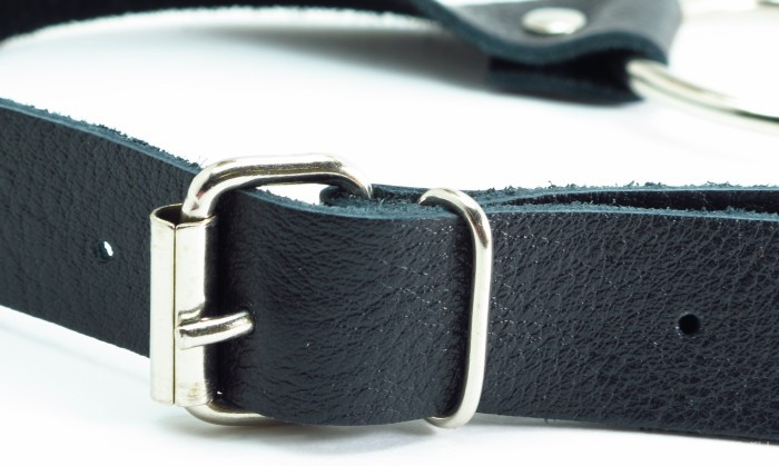 Кляп в виде открытого кольца на ремешке