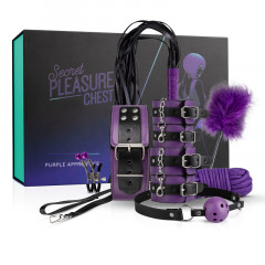 Фиолетовый набор для бондажа из 10 предметов Secret Pleasure Chest Dark Apprentice