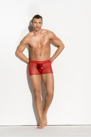 Стильные мужские трусы из эластичной прозрачной красной сетки Mateo