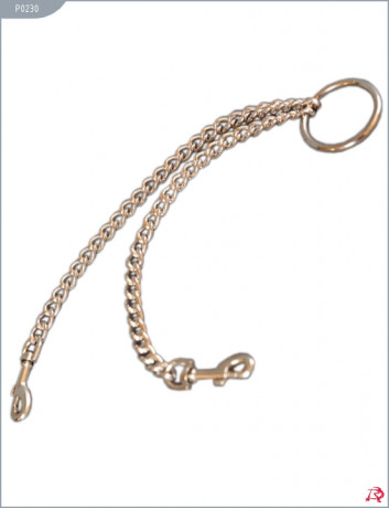 Цепь с центральным кольцом и карабинами по обе стороны