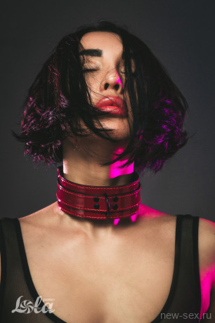 Стильный бордовый БДСМ ошейник с регулируемым ремешком Party Hard Eccentric